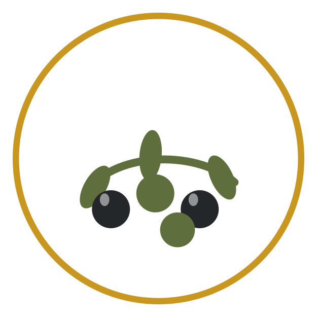 Recogida de aceituna